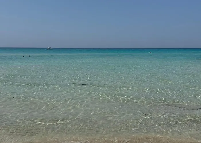 Apartment Amansea Baia